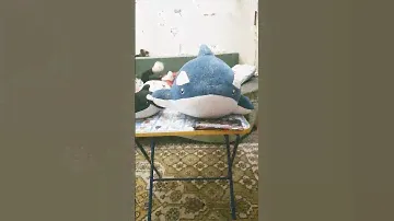 Контрольная РАБОТА УБРАЛИ ВСЁ С ПАРТ! Конец