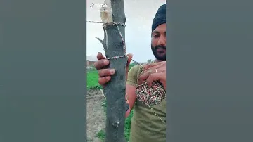making volley ball net in easy way